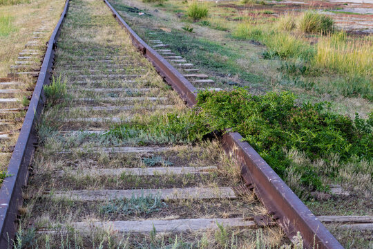 rusty railroad tracks with grass leading to a salt lake