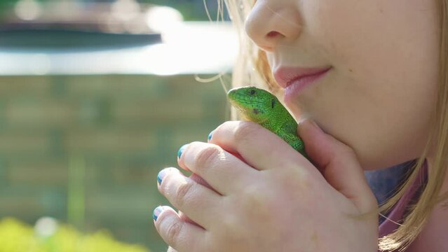 a little girl holding a small green lizard in her hands and kisses . lizards catch beetles, butterflies and other crop pests, feed on bears, which helps gardeners and farmers. an unusual pet. 
