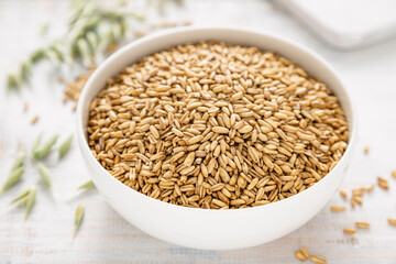 Oats. Whole grain oats with ears