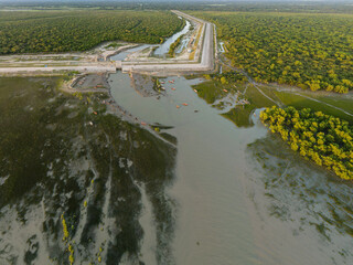 Seen of mangroves area