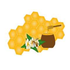 honeycomb with honey, bee keeping nectar from flowers, vector illustration 