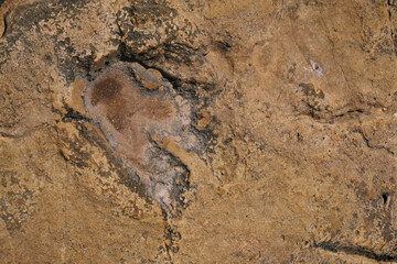 Preserved signs of prehistoric Jurassic period - dinosaur foot track in stone 