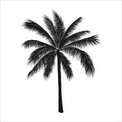 Fototapeta na wymiar Vector tropical illustration, palm tree silhouette. Object isolated on white background.
