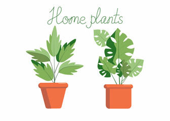 Home plant in a pot. Lettering. Potted plants and inscription. Vector illustration. Isolate background.