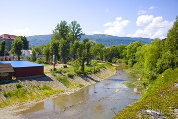 Fototapeta na wymiar Landscape with River Black Cheremosh in Verkhovyna, Ukraine