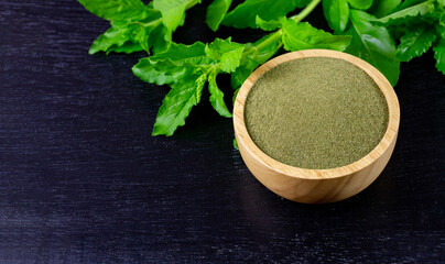 Obraz na płótnie Canvas Holy basil powder on wooden bowl with branch on black wooden background. Holy basil leaf are useful herbs and food ingredient has a spicy flavor. 