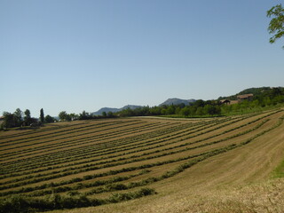 Colline Italiane