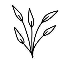 Plant lineart