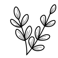 Plant lineart