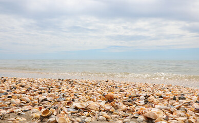 Fototapeta na wymiar tropical background with the sea the sky the clouds lots of shells on the shore on the beach