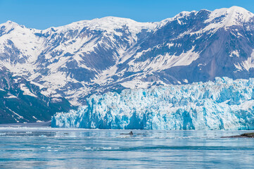 A view towards the snout of the Hubbard Glacier with mountain backdrop in Alaska in summertime