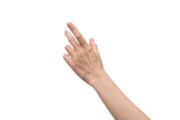 Woman hand isolated on a white background.