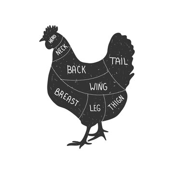 Chicken silhouette. Hung cut. Retro animal farm poster for a butchery meat shop