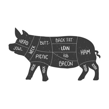 Pig silhouette. Pig cut. Retro animal farm poster for a butchery meat shop