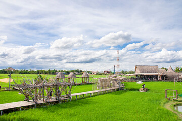 Ayutthaya Thailand 6th Jun 2022: the path and view of Rak Na Ayutthaya in Rice field. A very beautiful yet relax place.