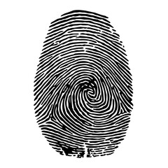 vector illustration of finger print. black and white finger print illustration