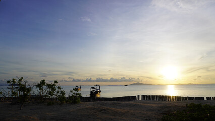 Bright blue sky with golden dawn sunrise at tropical Thailand beach coconut trees low angle shot