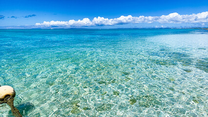 南国リゾートの透き通る海面