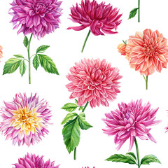 Pink flowers. Seamless pattern of Dahlia flower. Botanical Floral background.