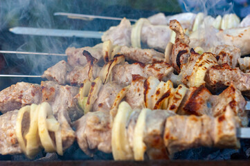 Shish kebab of chicken on coals!