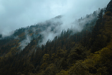 mist in the mountains