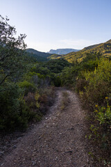 Montagnes et forêt du Parc naturel régional du Haut-Languedoc depuis le hameau de Ceps à Roquebrun
