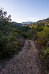 Fototapeta na wymiar Montagnes et forêt du Parc naturel régional du Haut-Languedoc depuis le hameau de Ceps à Roquebrun