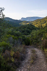 Montagnes et forêt du Parc naturel régional du Haut-Languedoc depuis le hameau de Ceps à Roquebrun