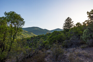 Montagnes et forêt du Parc naturel régional du Haut-Languedoc depuis le hameau de Ceps à Roquebrun