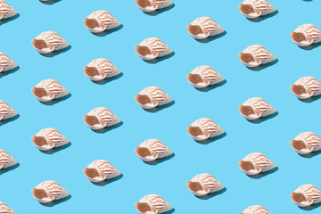 Creative pattern of seashells on a blue background