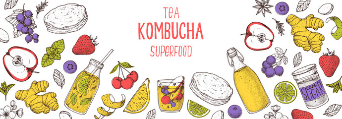 Kombucha tea and ingredients for kombucha sketch. Hand drawn vector illustration. Kombucha drink. Tea mushroom, tea fungus, or Manchurian mushroom.