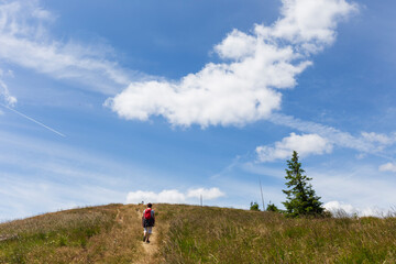 Summer Slovak Mountain Great Fatra, Velka Fatra, peaks Nova Hola (1361 m) and Zvolen (1403 m), views from them, Slovakia © Kajano