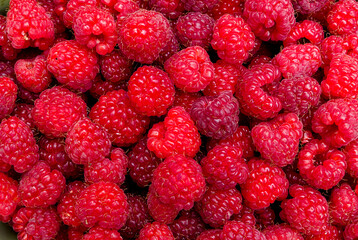 red delicious raspberries backgrounf