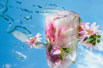 Icy transparent podium with flowers on a mirror blue sky background with clouds and water drops