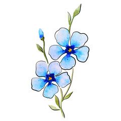 Fototapeta na wymiar Vector Decorative Flower Drawn With Watercolor And Line Art.
