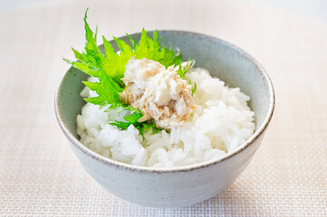 ご飯にのせたツナマヨ