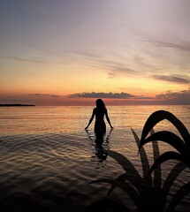 plant shadow and woman  silhouette at orange sunset in the sea water splash and pink cloudy sky view from window frame 