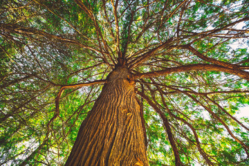 Stunning scenic landscapes from the rural farmlands of Ontario Canada featuring sunsets, old growth forests, nature, flowers and long exposure landscape and waterscape scenics