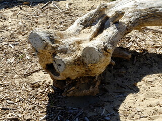 Saint-Palais-sur-Mer , Royan, Saint-Georges-de-Didonne