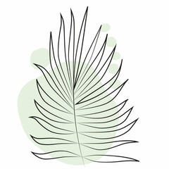 Summer illustration of palm leaf with green stains without background