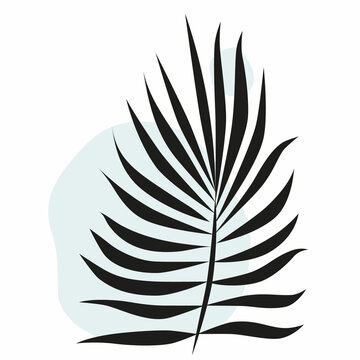 The summer illustration of palm leaf with blue blot without background