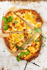 Tasty pizza with corn and cheese 