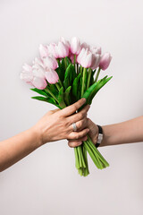 Manos de mujer regalando un ramo de tulipanes rosas. © Lola Fdez. Nogales