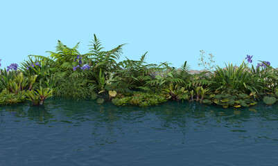 Waterfront plants on a white background.