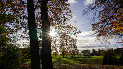 Abendstimmung im Park, Sonnenuntergang zwischen Bäumen