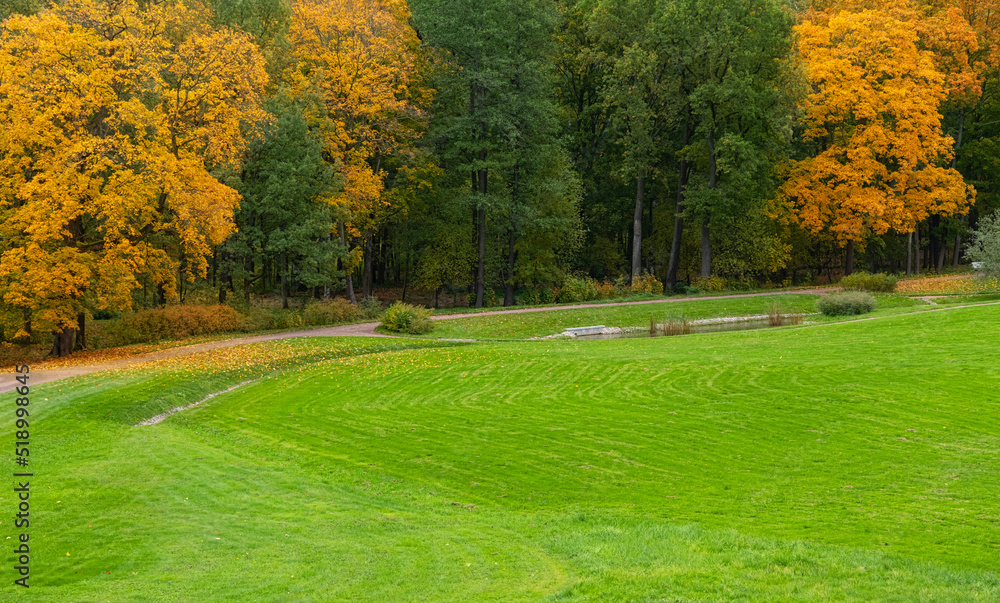 Canvas Prints reen lawn in front of autumn trees