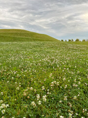 Idyllic Green Hill and Meadow Outdoor Summer Scene. Low-angle view of a fresh vivid green outdoor scene. Lush meadow of grass in the foreground. A large green hill stands tall in the background.