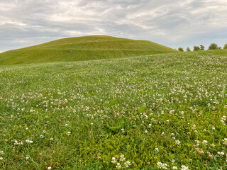 Obraz premium Idyllic Green Hill and Meadow Outdoor Summer Scene. Low-angle view of a fresh vivid green outdoor scene. Lush meadow of grass in the foreground. A large green hill stands tall in the background.