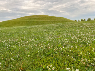 Idyllic Green Hill and Meadow Outdoor Summer Scene. Low-angle view of a fresh vivid green outdoor scene. Lush meadow of grass in the foreground. A large green hill stands tall in the background.