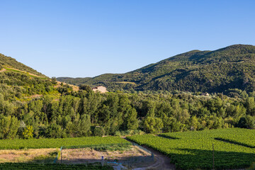 Vue au coucher du soleil du vignoble Saint-Chinian pr&egrave;s du hameau de Ceps &agrave; Roquebrun